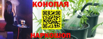 Альфа ПВП Ставрополь