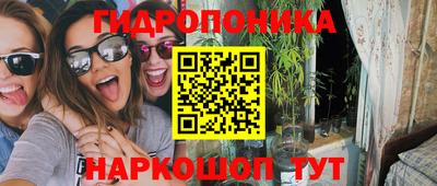 Альфа ПВП Ставрополь