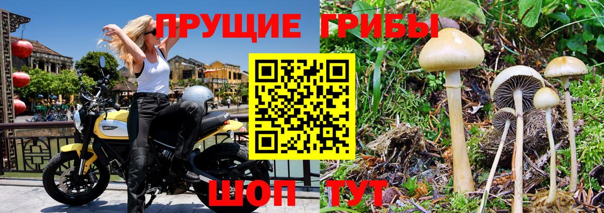 Саянск  Псилоцибиновые грибы мицелий  Вход с VPN 
